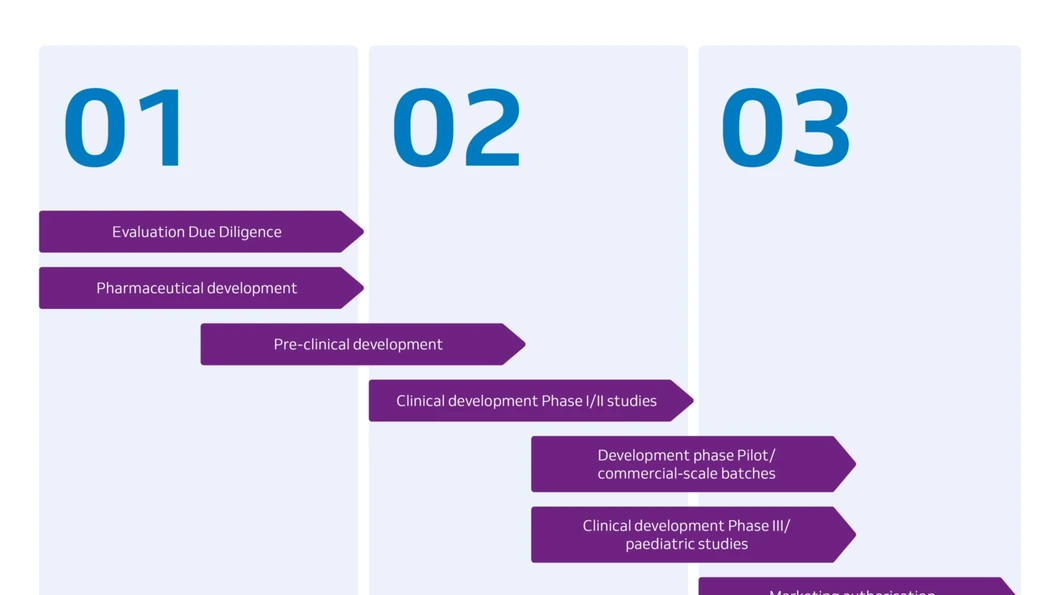 Infographic process steps development